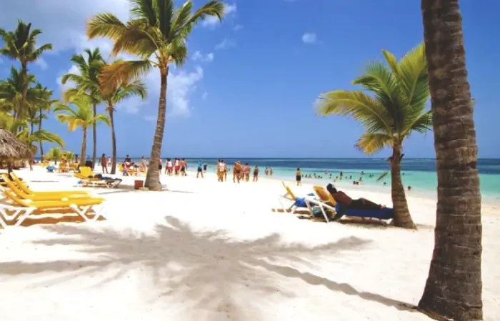 Tour Finder | Reliable Tours and Adventures in Punta Cana | 2024 - 25